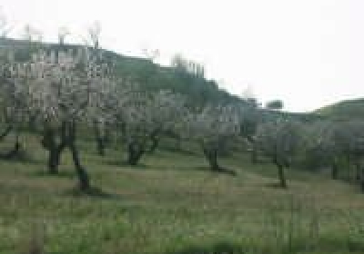 Casa Vacanze Casale Fienile Sopra Scopello